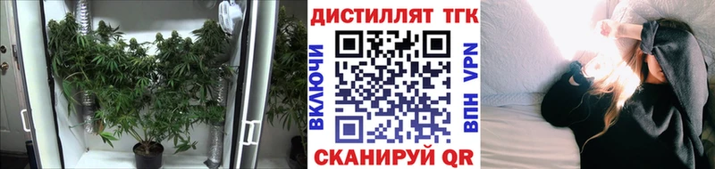 ТГК Wax  Купить где  Дрезна 