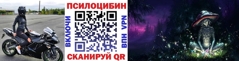 Купить закладки  Дрезна  Галлюциногенные грибы прущие грибы 